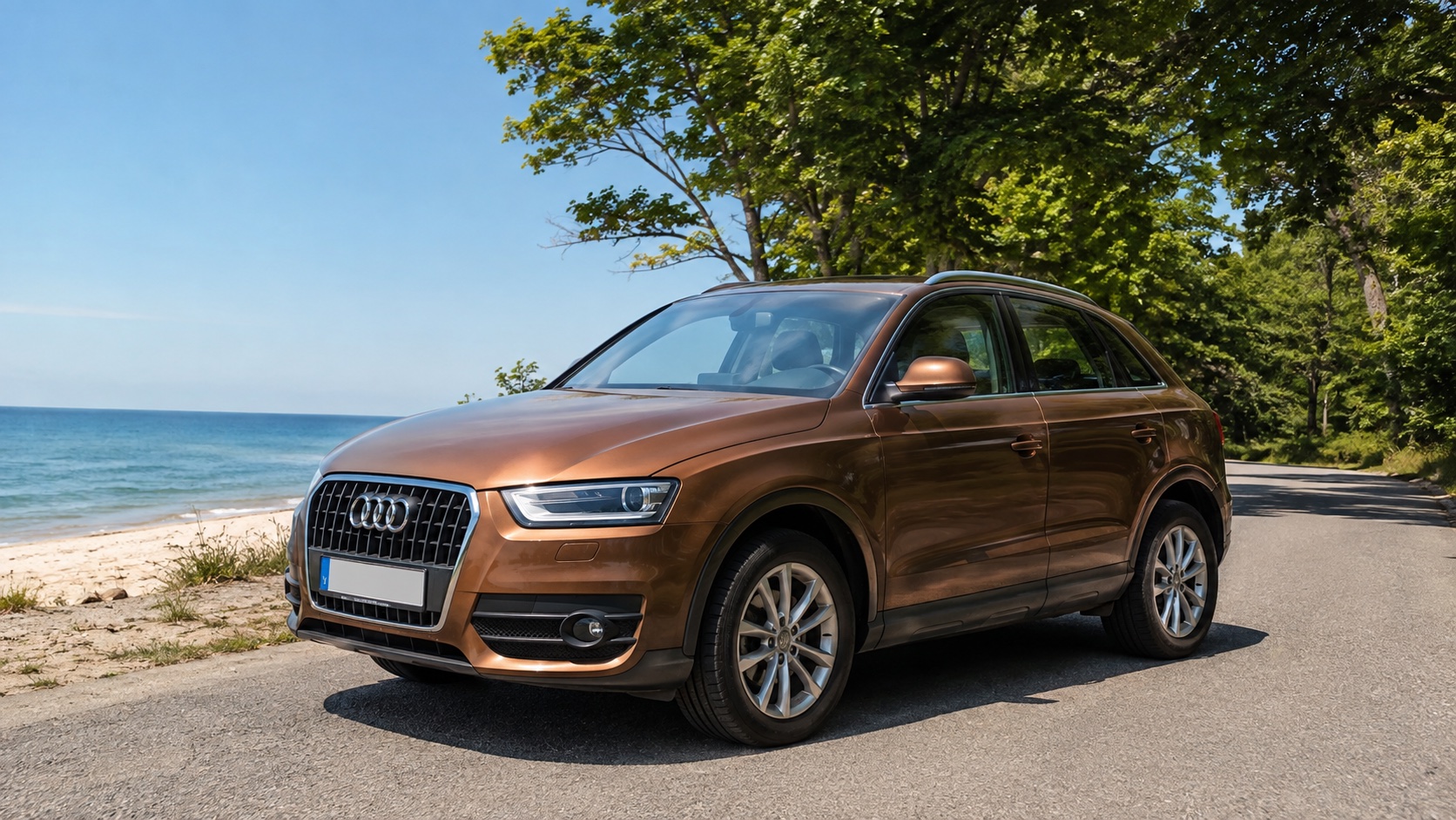 Audi Q3 8U